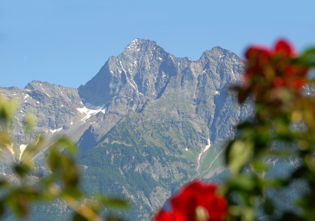Agriturismo Plan D'Avie Aosta Ngoại thất bức ảnh