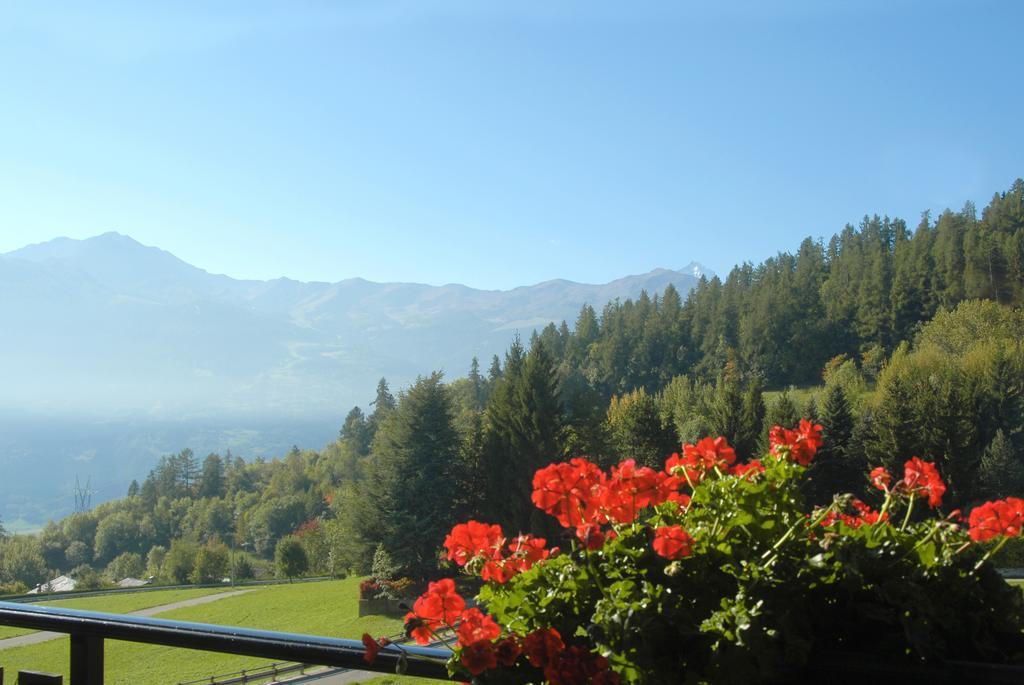 Agriturismo Plan D'Avie Aosta Phòng bức ảnh